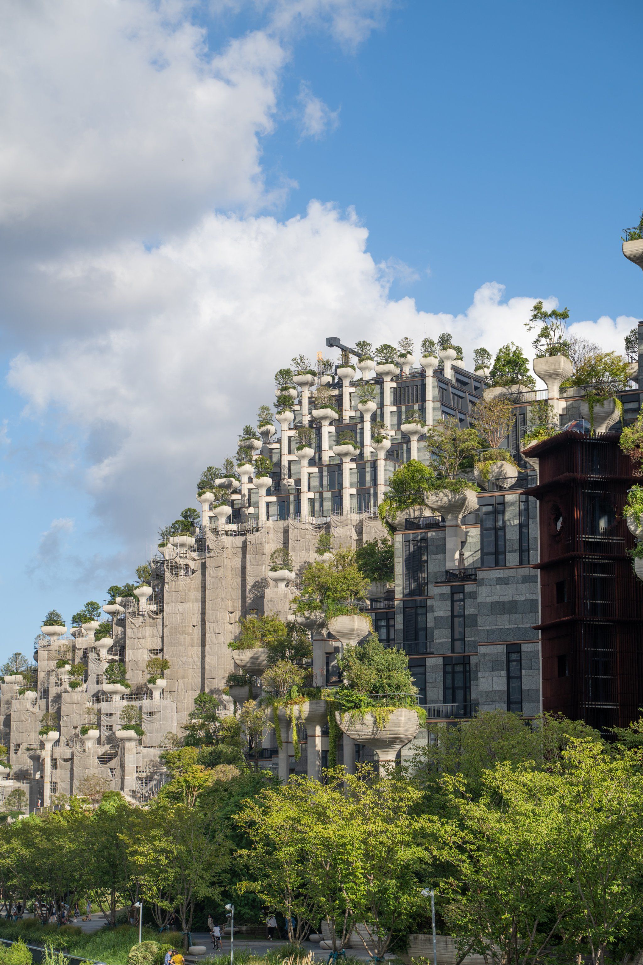 问道障碍技能